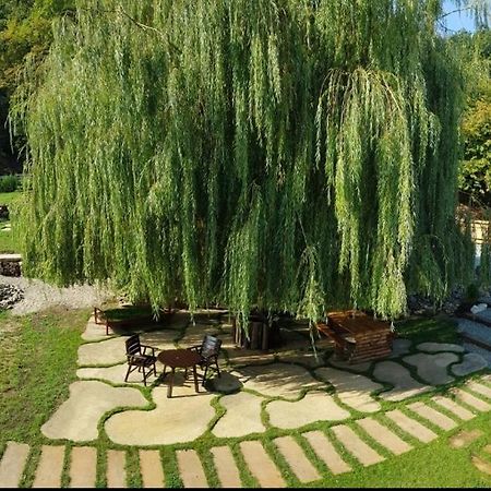 La Salcia din Pădure Appartamento Alba Iulia Esterno foto