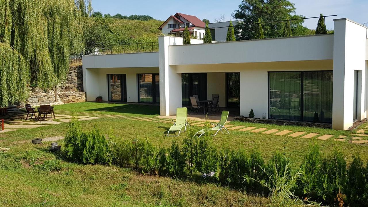 La Salcia din Pădure Appartamento Alba Iulia Esterno foto