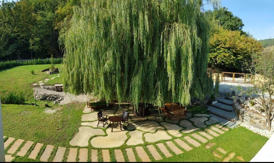 La Salcia din Pădure Appartamento Alba Iulia Esterno foto