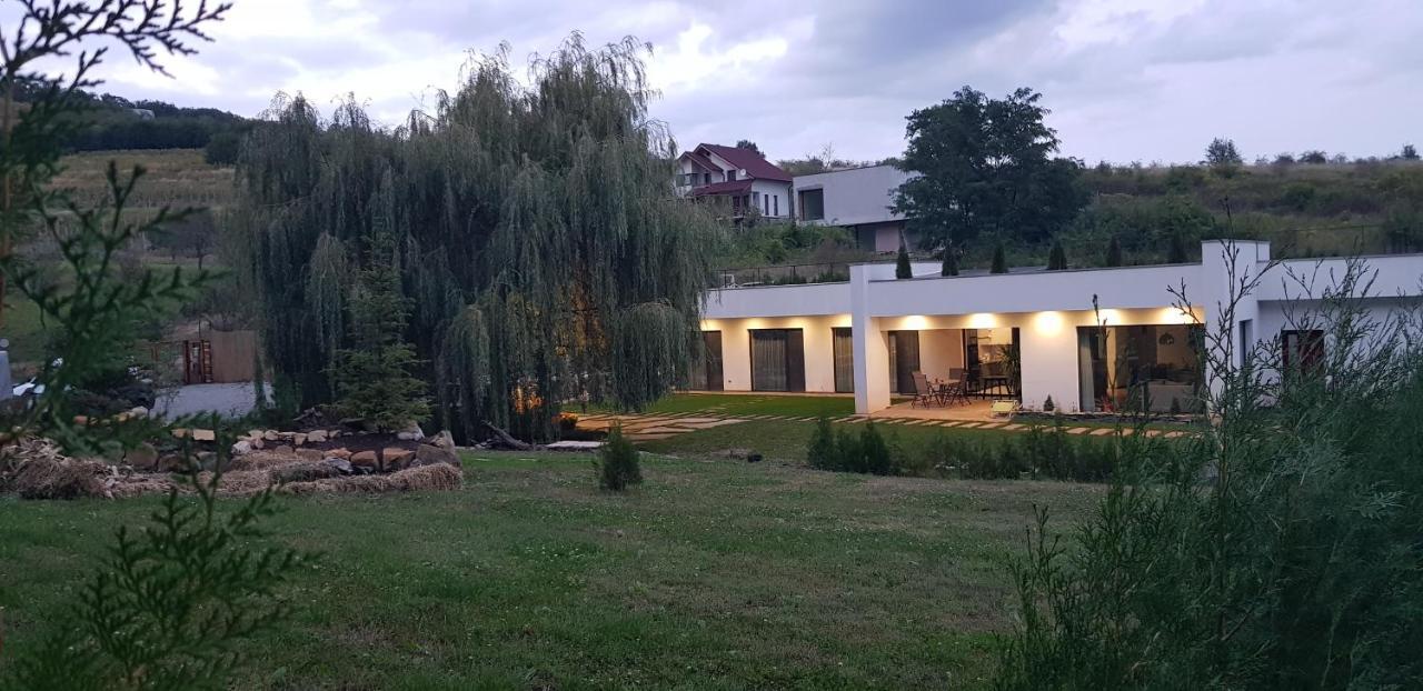 La Salcia din Pădure Appartamento Alba Iulia Esterno foto