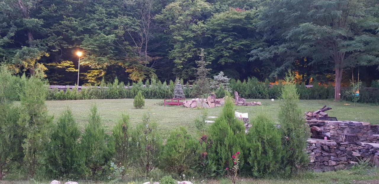La Salcia din Pădure Appartamento Alba Iulia Esterno foto