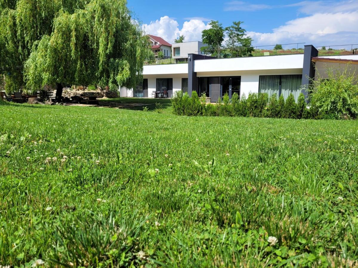 La Salcia din Pădure Appartamento Alba Iulia Esterno foto